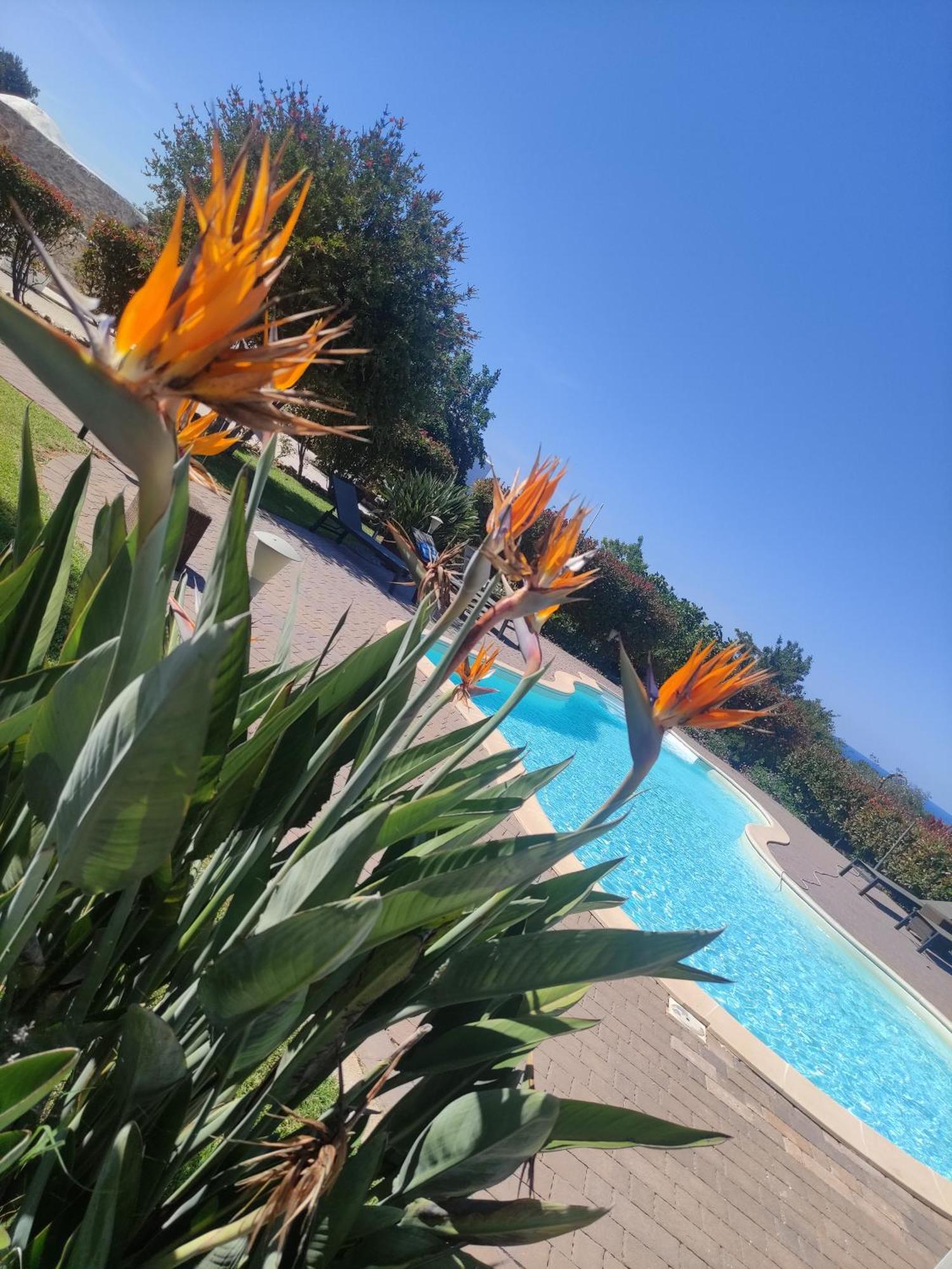 B&B La Vigna Carovigno Bagian luar foto